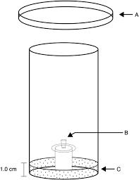 Profis ltd is a greek manufacturing company having set high objectives and product information ca 603 single corner cleaning machines are used for striping of bottom and top. Pvc Cage Used To Determine The Life Span Of O Sacchari A Petri Dish Download Scientific Diagram