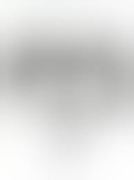 ガルフォース、バブルガムクライシス、ガンスミス キャッツ】X DIGITAL クロスディジタル VER.2 ½ - 同人誌 - エロ漫画  momon:GA（モモンガッ!!）