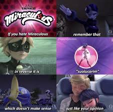 Pin By Pineapple On Miraculous Miraculous Ladybug Memes Miraculous Ladybug Funny Miraculous Ladybug Comic