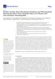 PDF) Double Trouble: How Microbiome Dysbiosis and Mitochondrial Dysfunction  Drive Non-Alcoholic Fatty Liver Disease and Non-Alcoholic Steatohepatitis