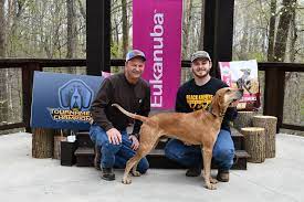 Maybe you would like to learn more about one of these? Ukc Coonhounds Kalamazoo Michigan Pet Service Business Service Facebook