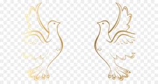 Find the perfect christoph pfingsten stock photos and editorial news pictures from getty images. Hochzeitseinladung Vektorgrafiken Clipart Wedding Frame Fotografie Auf Lager Pfingsten Png Taube Png Herunterladen 640 480 Kostenlos Transparent Vogel Png Herunterladen