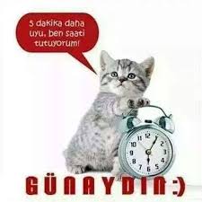 Gifyu Com Images 11060837 388082911376281 5493931558670584162 N Jpg Komik Mizah Gunaydin