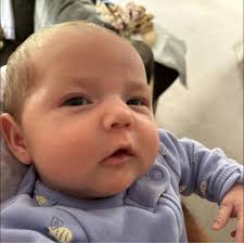 What is the identity of the rock or mineral in the photo?