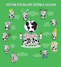 Sütaş, birleşmiş milletler gıda ve tarım organizasyonu'nun (fao) 2001 yılında, bütün üye ülkelerde 1 haziran'da kutlanması kararını aldığı dünya süt günü'nü, kamuoyunu sütün faydaları hakkında. Sutas 1 Haziran Dunya Sut Gunu Nu Kutluyor I Campaign Turkiye