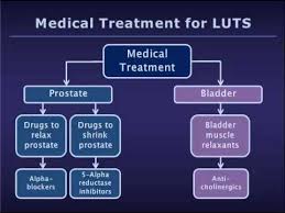 Medical Treatment Fro Benign Prostatic Hyperplasia Bph Lower Urinary Tract Symptoms Luts Youtube