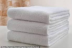 11.42 x 9.06 x 24.41; Freedomroo Mum Sparks A Heated Debate Over The Best Way To Fold A Bath Towel So How Do You Do Yours Australiannewsreview