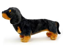 Image result for monika babi%u0161ov 