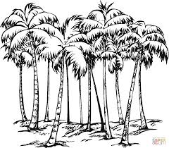 Find & download the most popular cactus tree vectors on freepik free for commercial use high quality images made for creative projects. Some Of Coconut Palms Tree Coloring Page Fruit Coloring Pages Coloring Pages