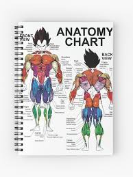 Exercise Muscle Chart Anatomy Diagram Spiral Notebook