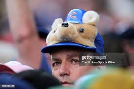 122 The Cubby Bear Stock Photos, High-Res Pictures, and Images