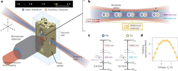 A dual-species Rydberg array | Nature Physics