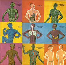 The most basic unit is the cell; Diseases Disorders Of The Body Systems Dr I Wfhs Library