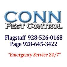 Phoenix exterminating co inc is a professional pest control company that has been serving its customers in the area since 1974. Contractors Termite And Pest Control Inc Pest Control Facebook