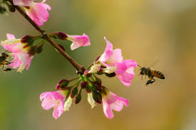 Five Types Of Ecological Relationships Sciencing