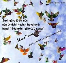 R 51 Siir