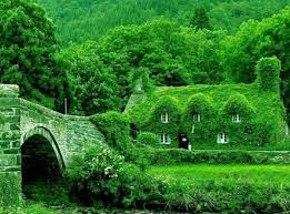 منظر طبيعي Fairytale Cottage House In The Woods Beautiful Places