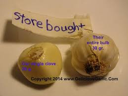 We hope the explanations above will give you a better idea of how much 30 grams is. Pin On Gourmet Giant Garlic