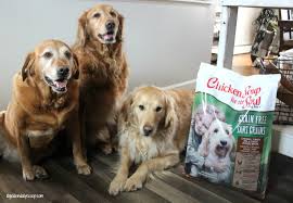 Chicken soup for the soul chicken soup chicken soup for soul. Why We Love Chicken Soup For The Soul Dog Food Golden Daily Scoop