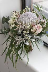 Native Bridal Bouquet King Protea Gum Foliage Silver Suede Foliage Wax Flower Blushin Wedding Flower Arrangements Australian Native Flowers Winter Bouquet