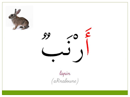 We did not find results for: Lire Et Ecrire En Arabe L Alphabet Arabe Pour Les Enfants Youtube