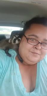 Baby raccoon rescued in Lebanon, PA, headed to rehabilitation center