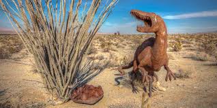Great chance for night photography! Spotlight Anza Borrego Desert State Park Visit California