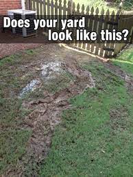 Realizing That The Property On Which You Live Or Work Has A Drainage Problem Is Never Good We Yard Drainage Drainage Solutions Landscaping Landscape Drainage