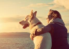 Woman Hug Dog Bond Love Nature Water Gaze Happy Place Meetmindful A Fuller Life Together