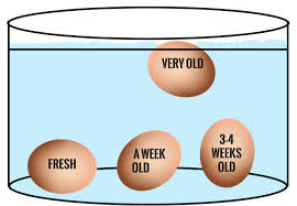 The water test for egg freshness How To Tell If Your Eggs Are Fresh Or Have Expired Times Of India