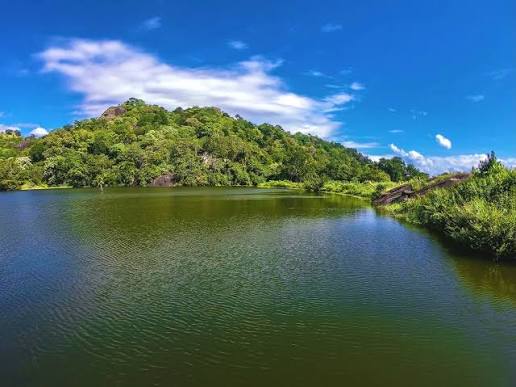 Handapanagala Lake reservoir bird watching sunrise reflection Wellawaya Uva Province Sri Lanka