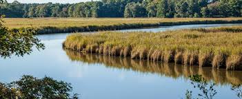 Places To Go Find Your Chesapeake