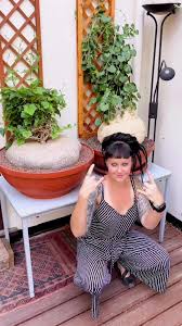 Image result for Pyrenacantha