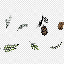 Maybe you would like to learn more about one of these? Kiefernblatt Euklidisch Matsutake Kiefer Verlasst Elemente Herbstblatter Ast Dekoration Png Pngwing