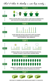 Hop Breeding Hop Growers Of America