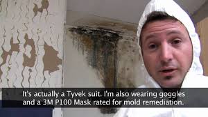 On average, professional mold remediation costs $500 to $6,000 with most homeowners spending. Killing Toxic Black Mold How To Remove Mold Safely Youtube