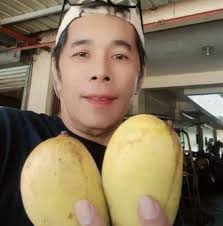 Mini vertical garden of herbs and veggies