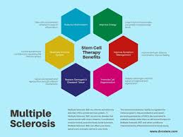 Some come and go, while others linger. Stem Cell Therapy A New Multiple Sclerosis Breakthrough In 2021
