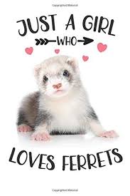 Just a Girl Who Loves Ferrets: Cute Ferret Journal For Dog Lovers (Lined  Diary), Gift Idea for Girls Boys Teens Men Women Men: Mary J. Smith:  9798629155393: Amazon.com: Books
