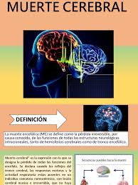 Para tac cerebral, en inglés lo más común/usao en las ordenes médicas es ct head, también se usan ct brain, cerebral ct . Muerte Cerebral Pptx Cerebro Carrera