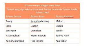 Darurat, separuh bahasa daerah terancam. Kunci Jawaban Tema 7 Kelas 4 Sd Halaman 29 Bahasa Apa Yang Biasa Digunakan Penduduk Di Provinsimu Halaman All Tribunnewsmaker Com