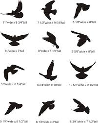Small Bird Tattoos For Guys Cb8f563fbe499871d863acb63bee03a0 Jpg 564 706 Pixels With Images Small Bird Tattoos Silhouette Tattoos Flying Tattoo