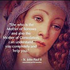 Our Ark in the storm... our Refuge and our Help ... our Blessed Mother  given to us by Jesus