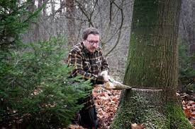 Dennoch sollten sie sich vorab mit den sicherheitsvorkehrungen und der vorgehensweise vertraut machen. Selbst Einen Baum Fallen Knivesandtools Erklart Dir Alles