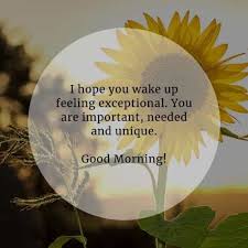 Check spelling or type a new query. 175 Beautiful Good Morning Inspirational Quotes And Sayings