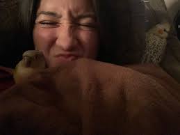 David Balboa (@david_balboa98)