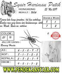 Syair Togel Hongkong Hari Ini 23 Mei 2019 Mei Harimau Putih