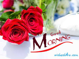 Good morning images wallpaper photo pictures pics free download with flower for wife free latest hd relation between husband and wife is very beautiful and very naughty. Beautiful Good Morning Images With Flowers Hd Uncategorised