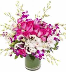 If you feel overwhelmed asking yourself what flowers should i get my girlfriend, just go with pink roses. 5 Of Our Favorite Flowers Central Square Florist