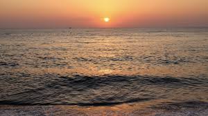 Auhneesh nicole videos i can imagine her meetings will be